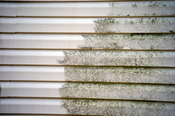 Professional Siding Installation & Repair in Great Falls, SC